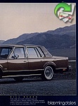 Ford 1982 506.jpg